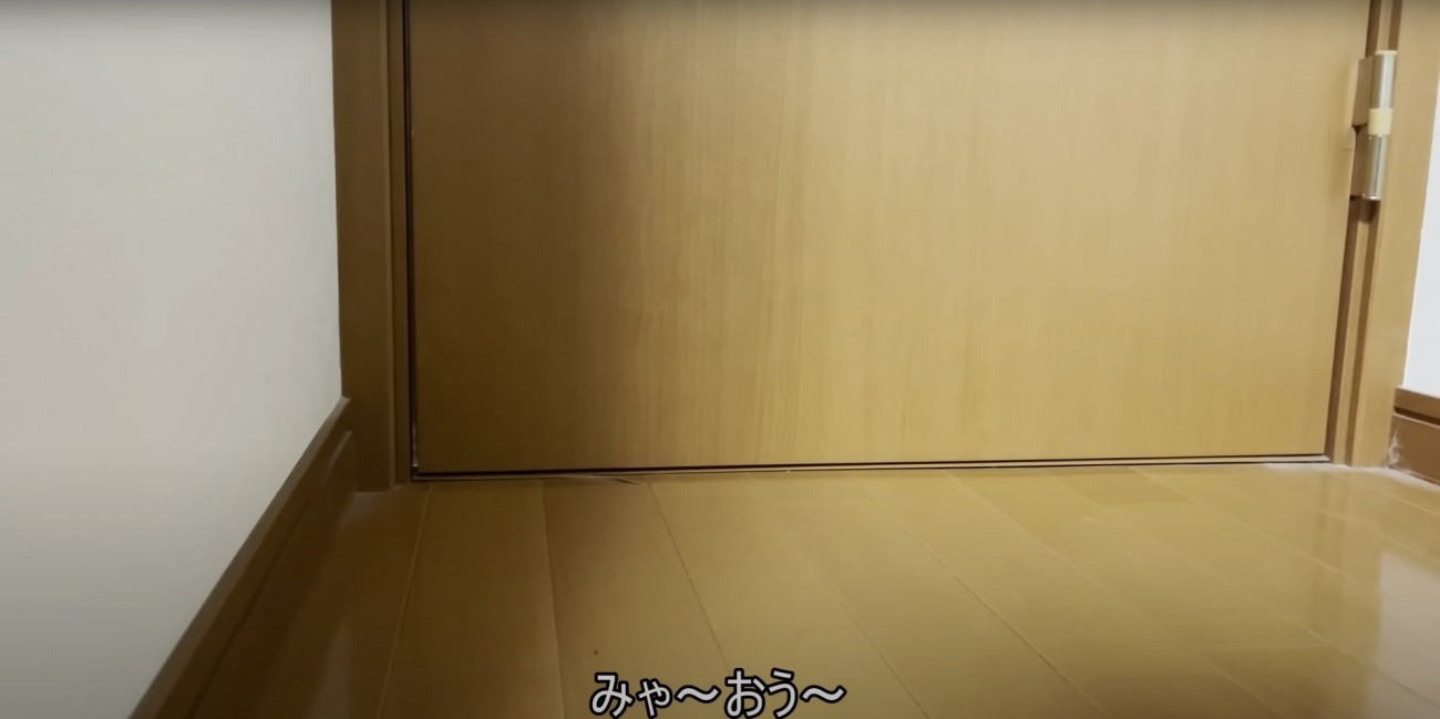 ドアの向こうで鳴く豆大福くん