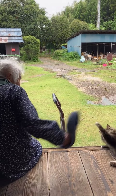帽子を振っているおばあちゃんと前足を上げる猫