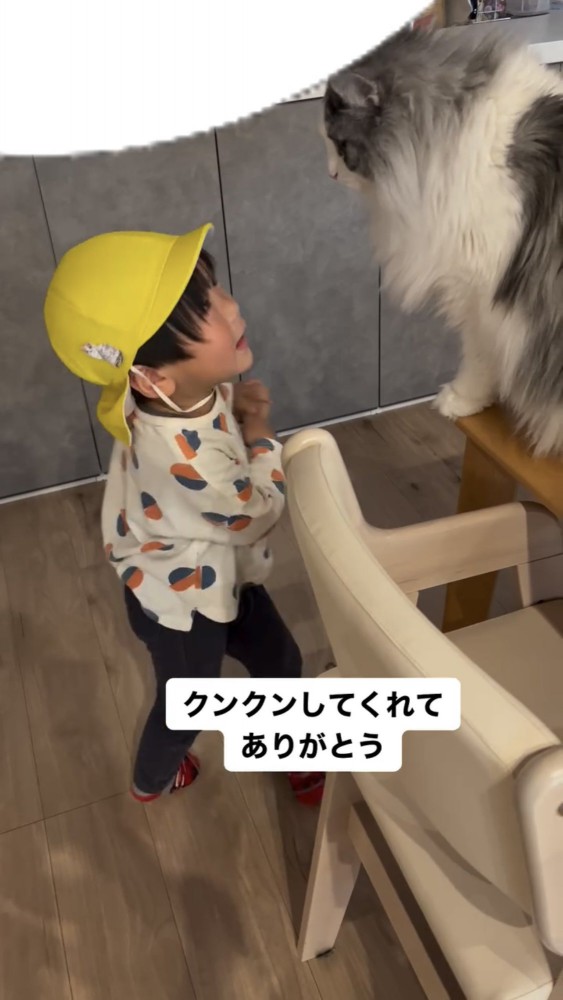 子供のにおいを嗅ぐ猫