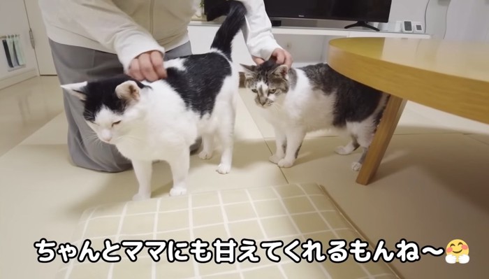 ちゃんとママにも