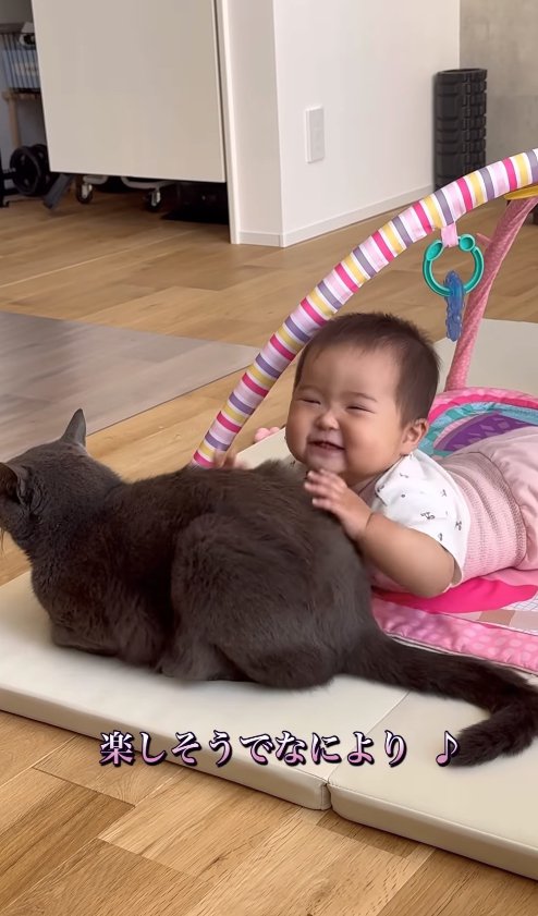 赤ちゃんに背中を触られてる猫「楽しそうで何より♪」