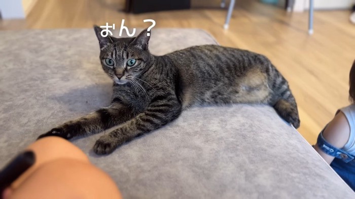 ぉん?
