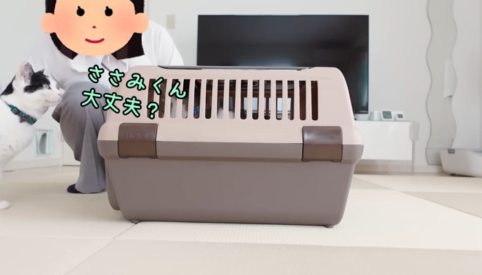 ささみくん大丈夫?