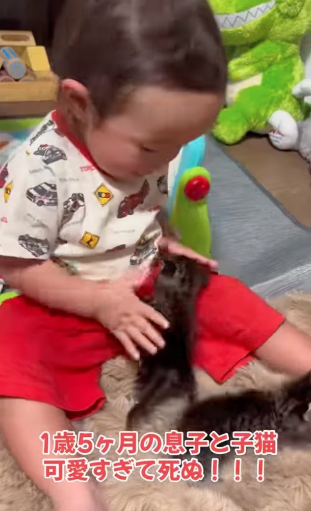 戯れる赤ちゃんと赤ちゃん猫