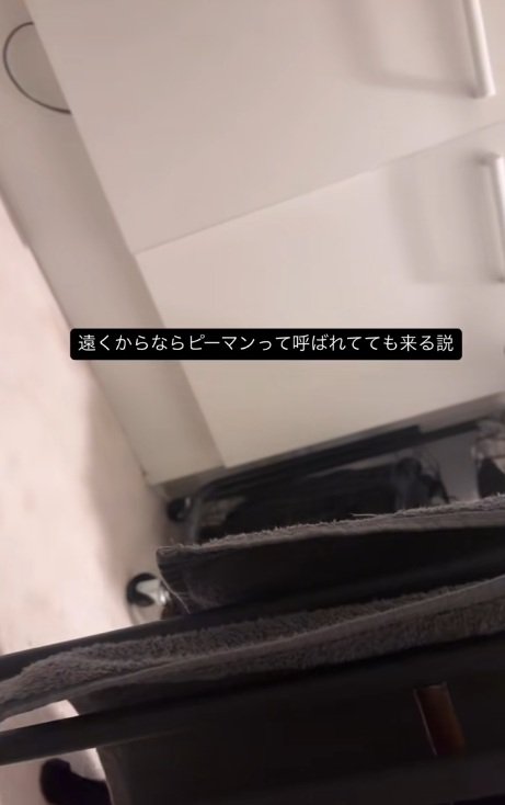 部屋の奥に見える黒猫の足