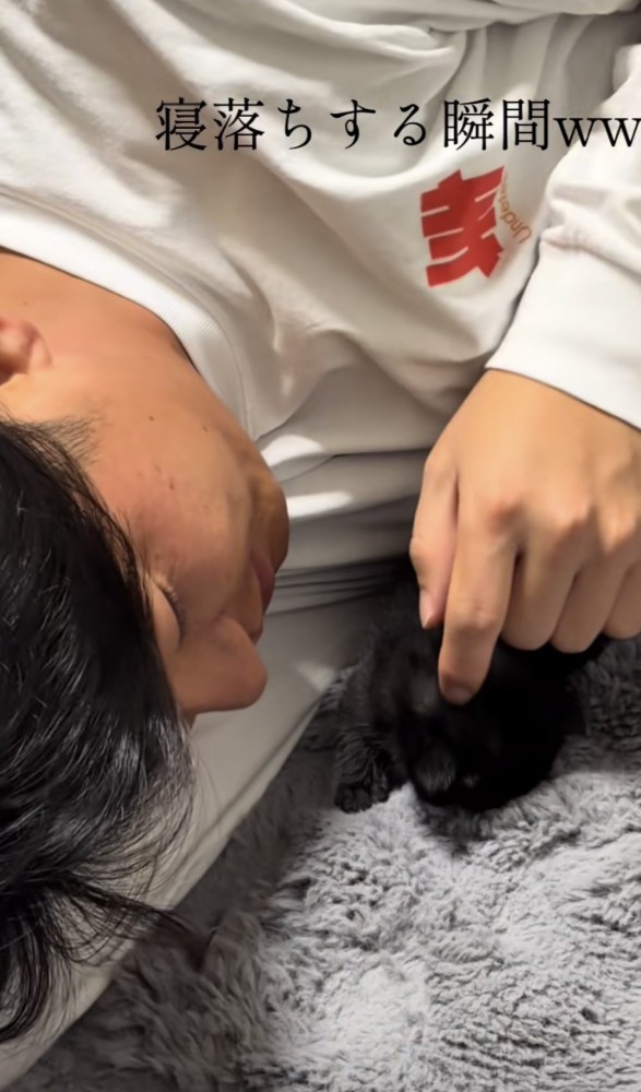 寝ころんでいる猫の写真3