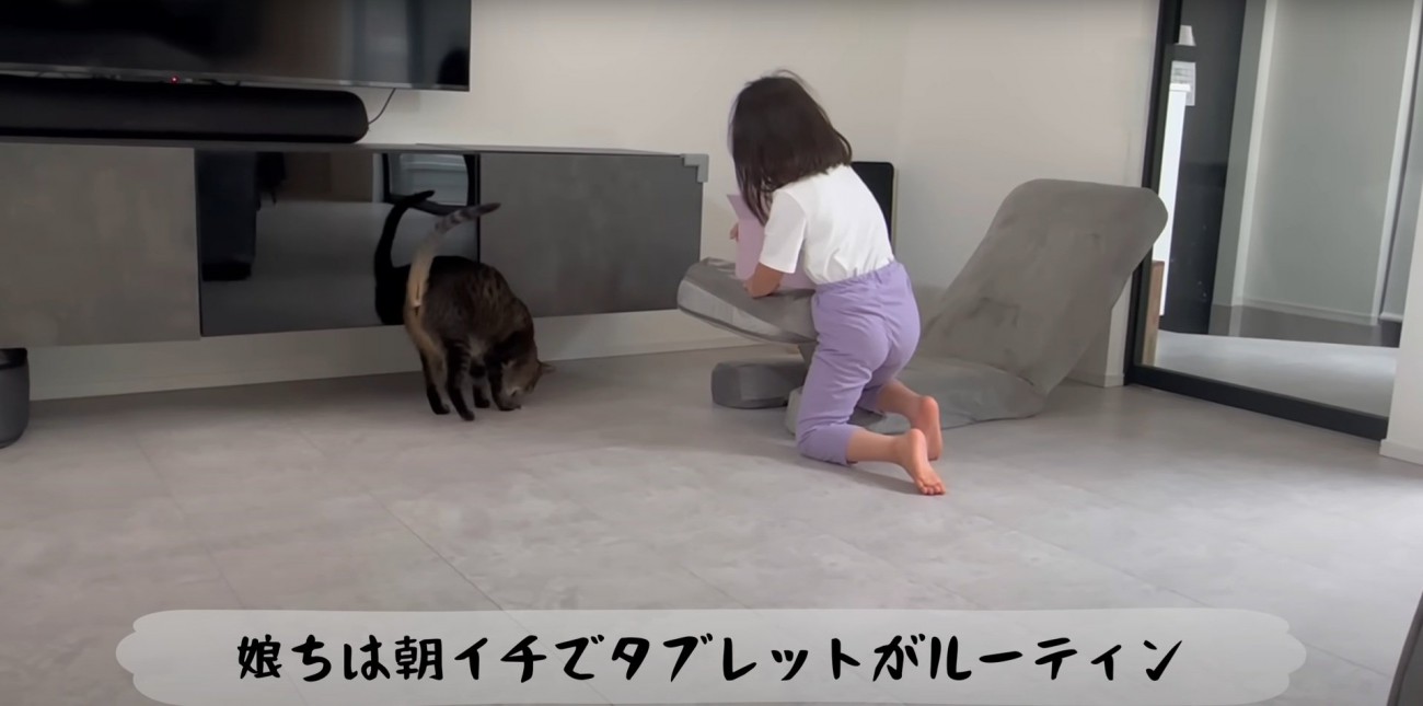 娘ちゃんの近くを歩くももまるちゃん