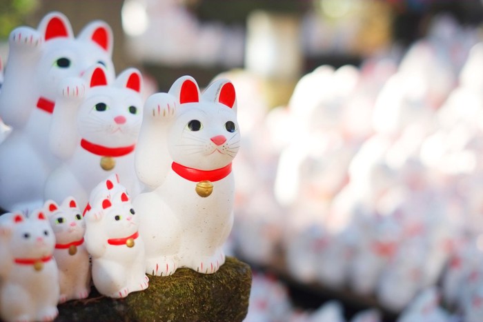 豪徳寺にいる招き猫