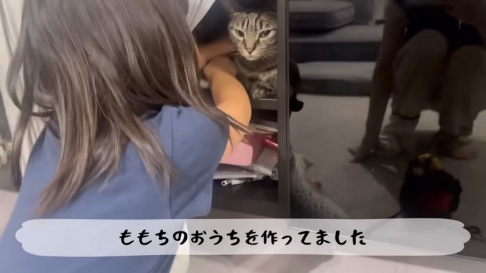 テロップ「ももちのおうちを～」