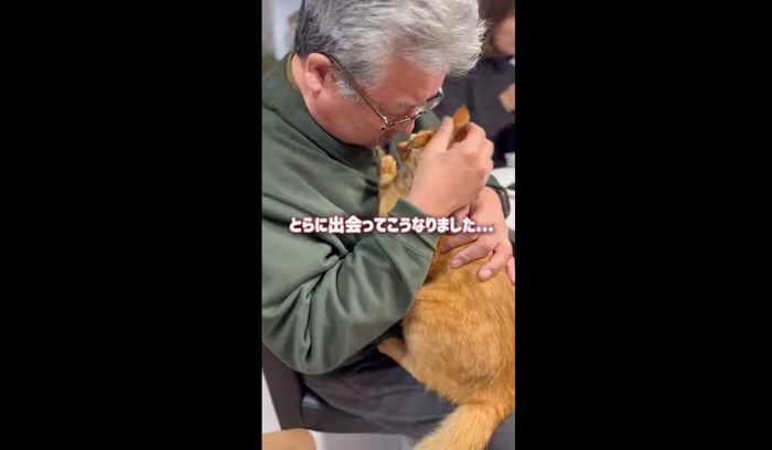 とらに出会って