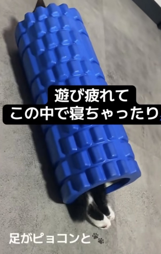 「遊び疲れて...」のテロップ写真2