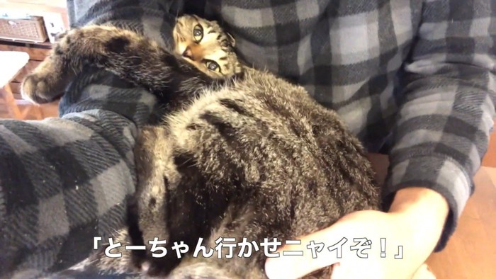行かせニャイぞ!