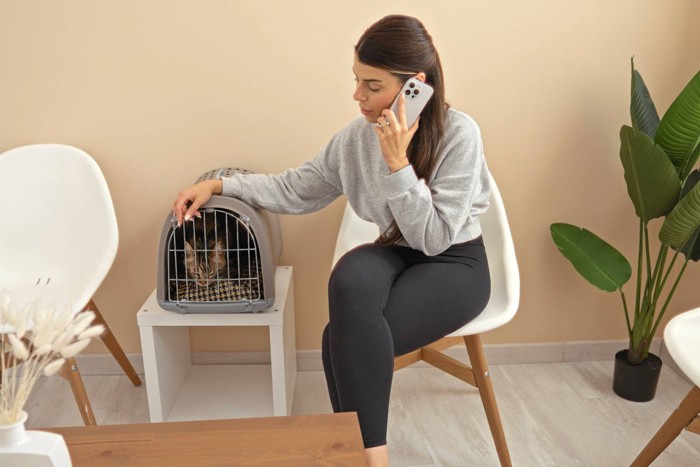 猫をキャリーに入れて電話する女性