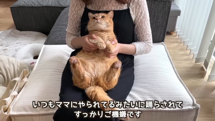 すっかりご機嫌です