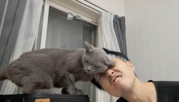 ほっぺをスリスリ