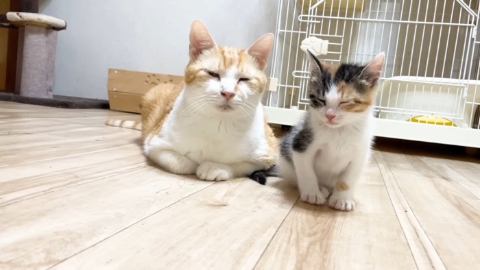 目を瞑るふたり(正面)