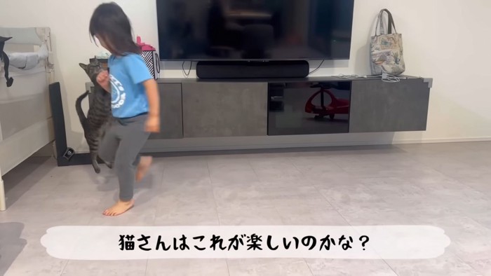 テロップ「猫さんはこれが～」