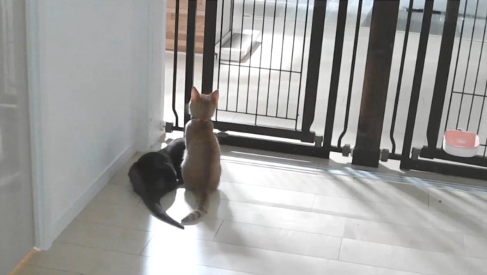 待っているふたり