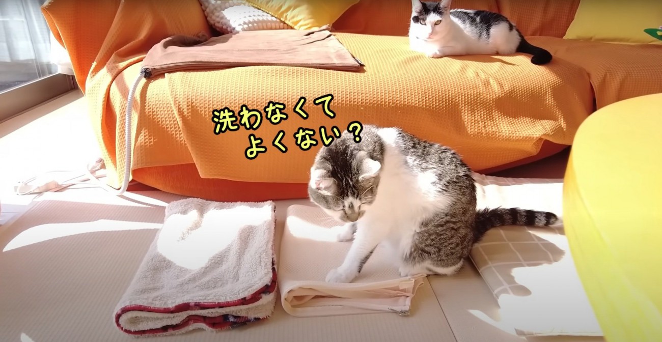 グッズに乗るささみくん