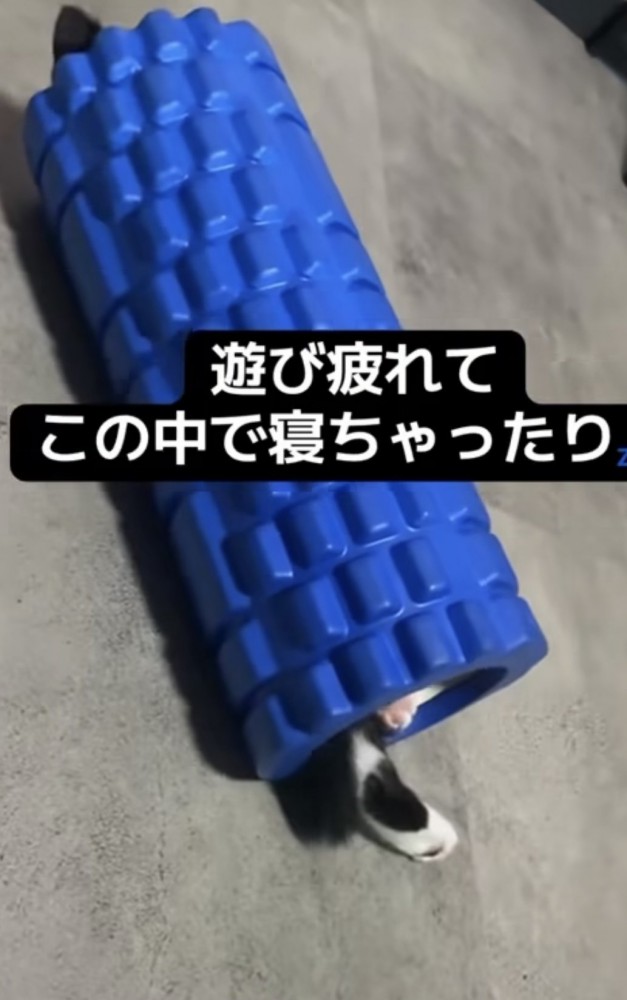 「遊び疲れて...」のテロップ写真1