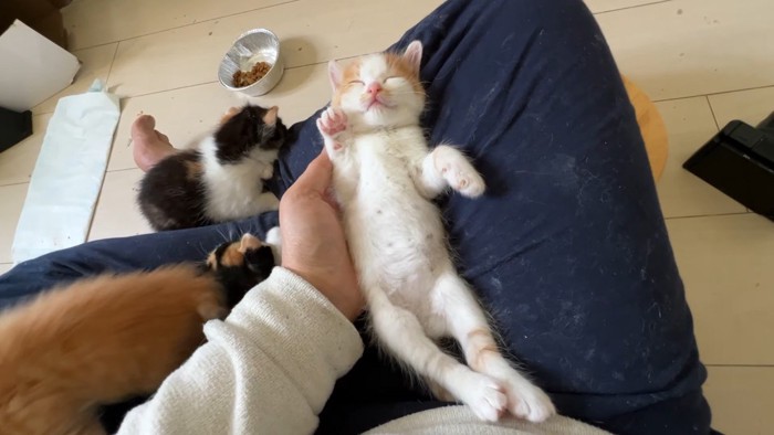 伸びた姿