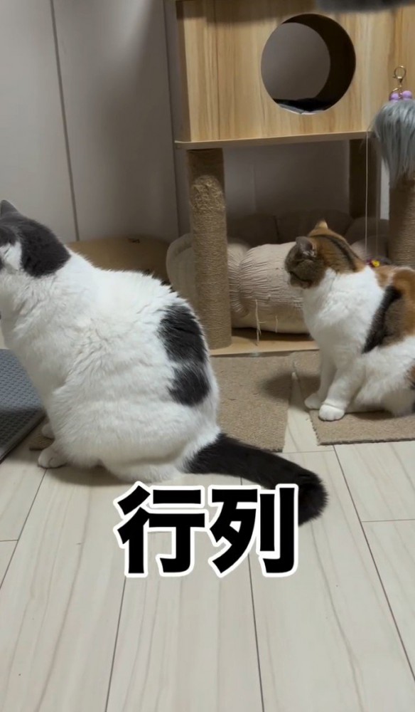 「行列」と書かれた写真