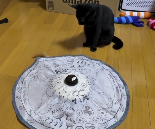様々な動きで回る猫じゃらしのおもちゃ
