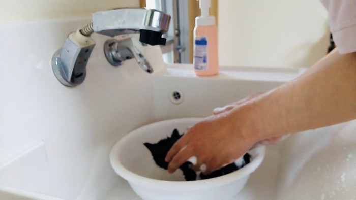 洗面器の中でパパにシャンプーされる子猫