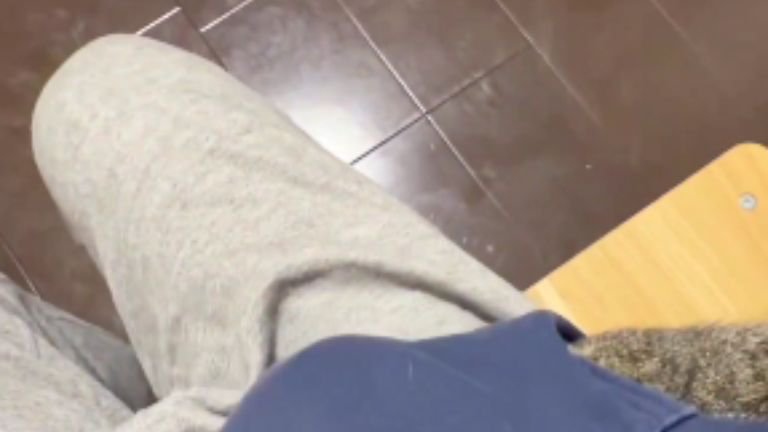 ポケットに入る猫