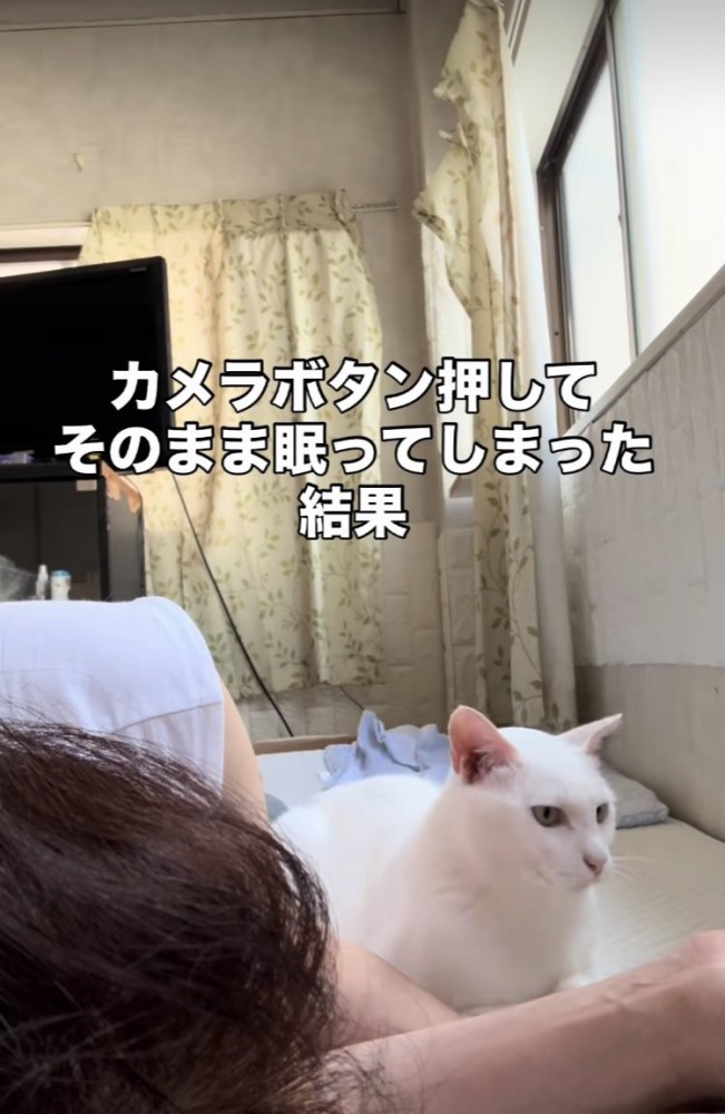 眠るママの隣に座る白猫