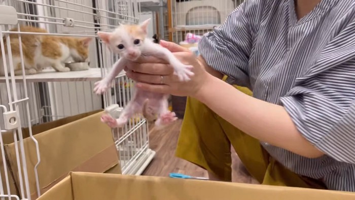 移動中の赤ちゃん