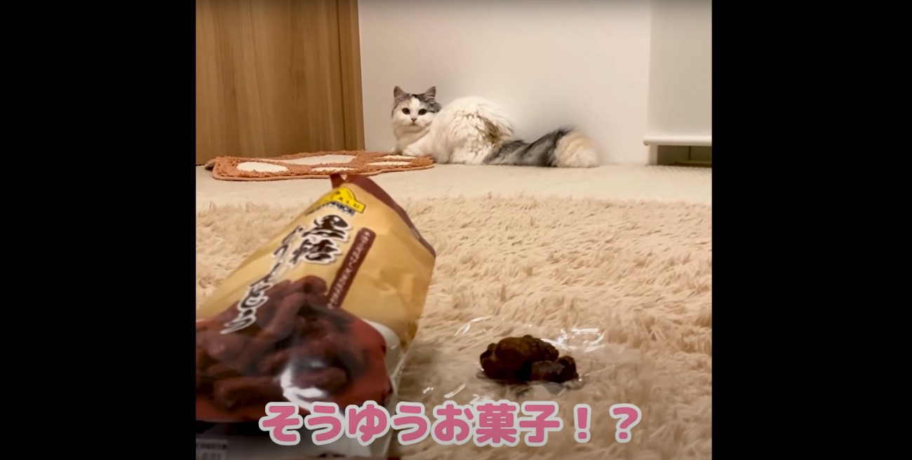 ビックリしながらお菓子を見つめるつくしちゃん