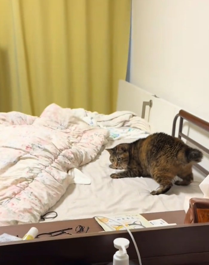 臨戦態勢のあめちゃん