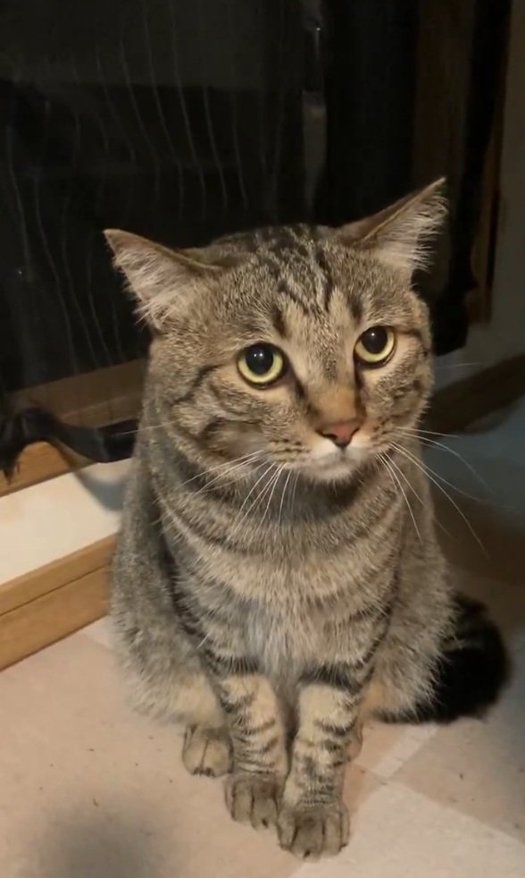 緊張気味のルイくん