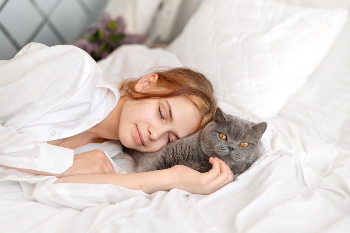 ベッドで眠る猫と少女