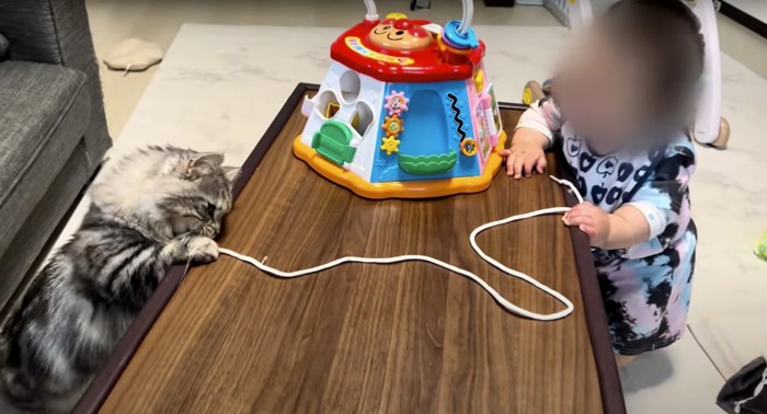 お互い紐を持つ赤ちゃんと猫