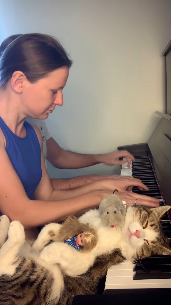 人形を抱えた猫