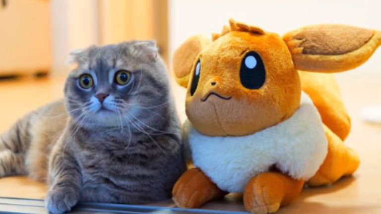 猫とぬいぐるみ