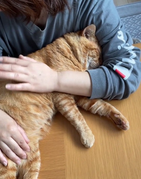 腕の中で眠る猫