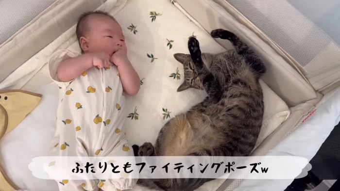 ベビーベッドで寝る赤ちゃんとキジトラ猫