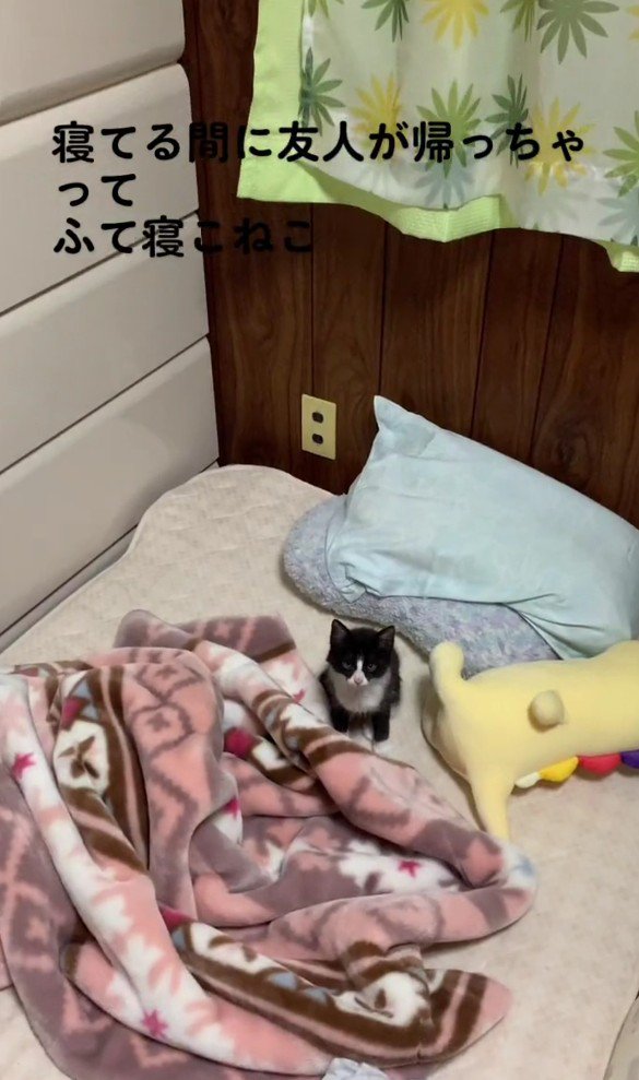 寝起きのねむちゃん