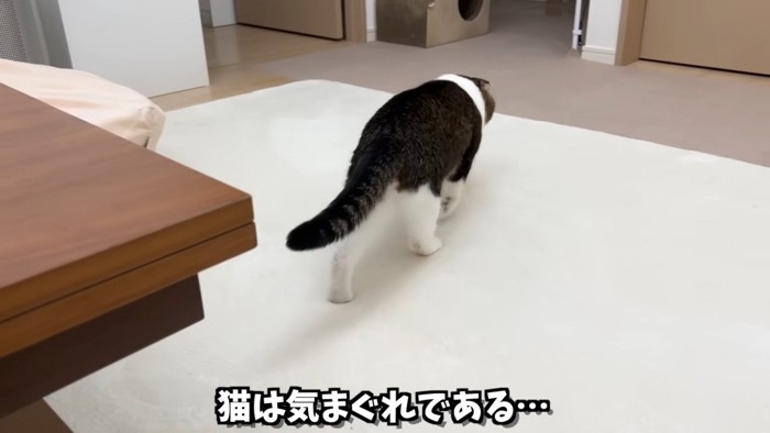 去っていくぽこ太郎くん