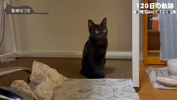 おすわりするなづきちゃん