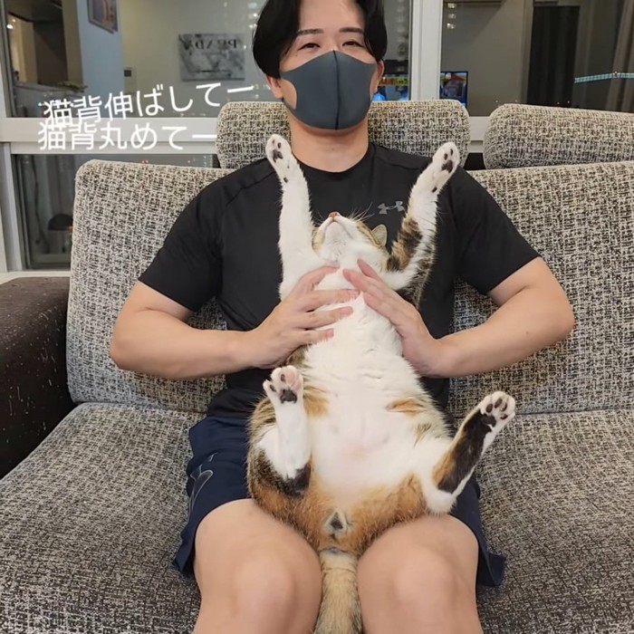 バンザイする猫