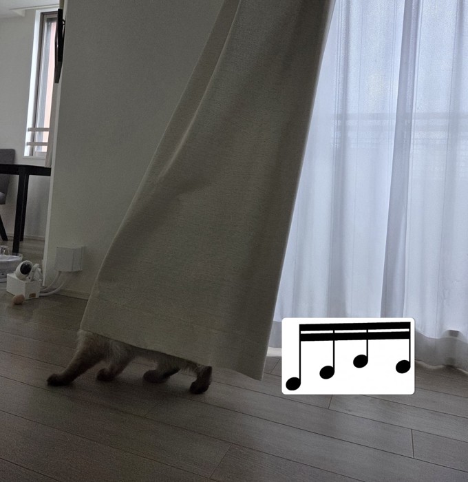 カーテンの下から見えている猫の足と、その隣に並べられた16分音符の画像