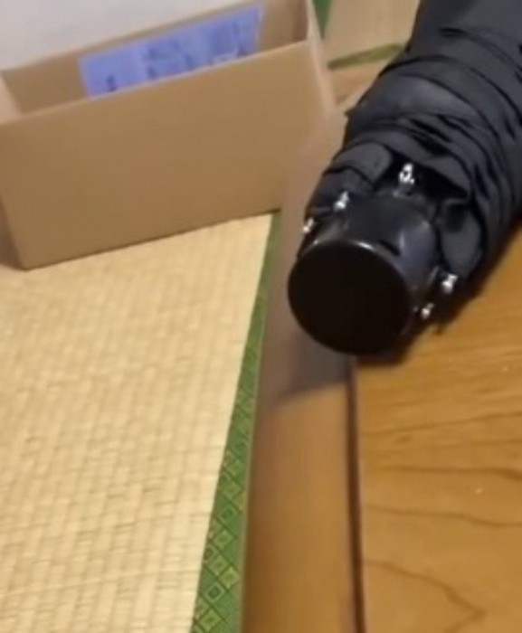 猫にパンチをされて僅かに動いた傘