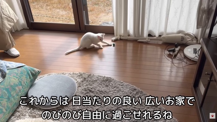 テロップ「これからは日当たりの良い～」