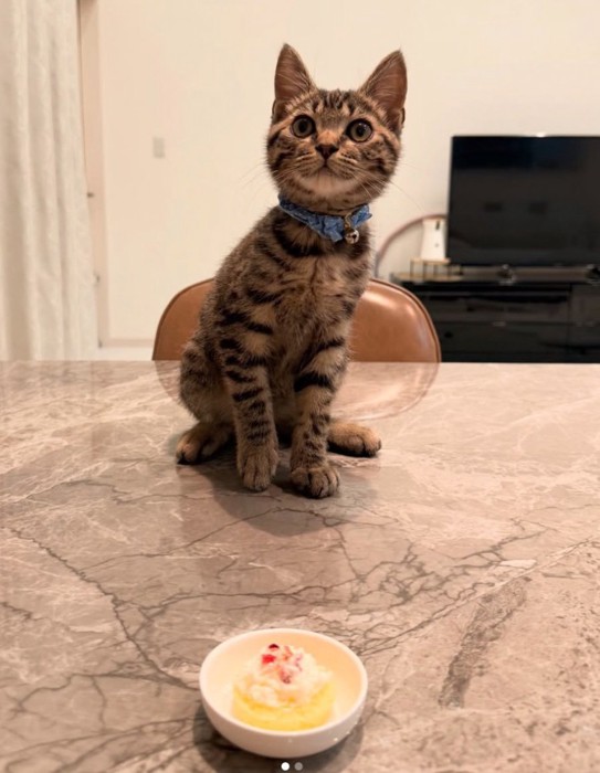 ケーキでお祝い