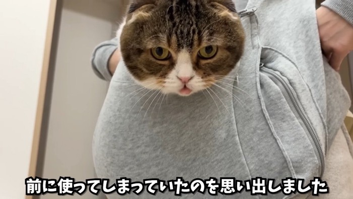 ぽこ太郎くんのアップ