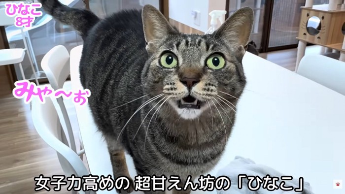 テロップ「女子力高めの～」